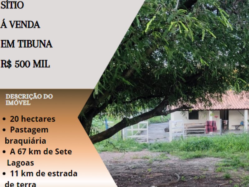 Lindo Sítio á venda em Tibuna!