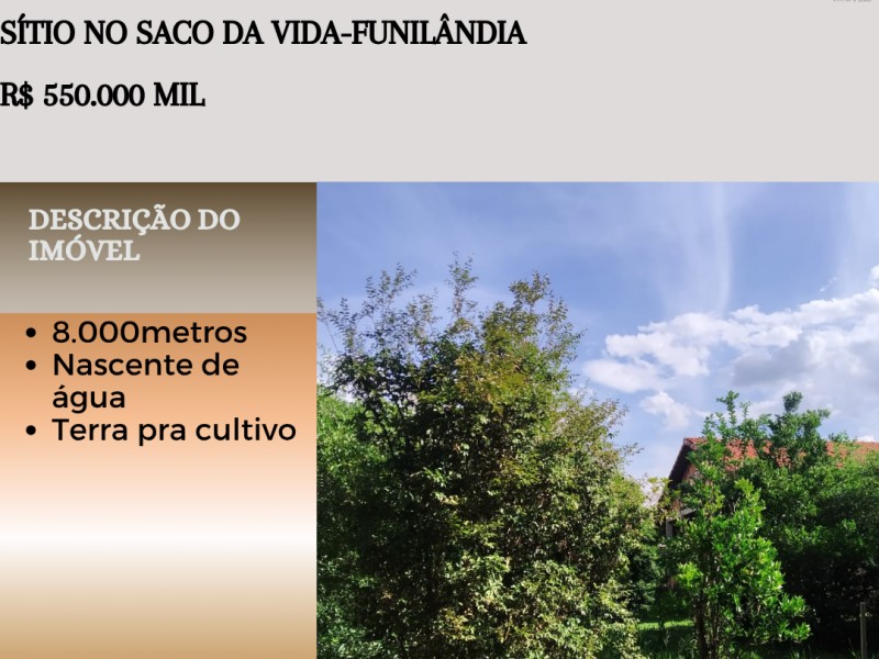 Excelente Sítio no Saco da Vida!  